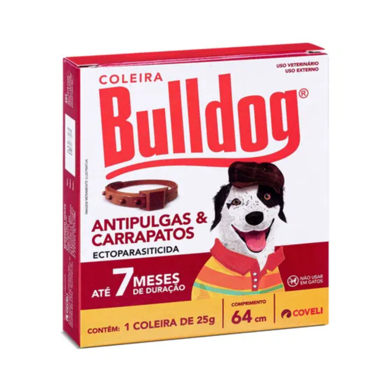 BULLDOG COLEIRA CAO 7 MESES