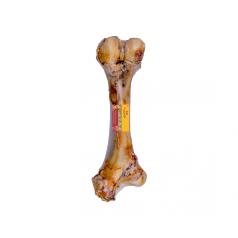 FEMUR BOVINO NATURAL 800G