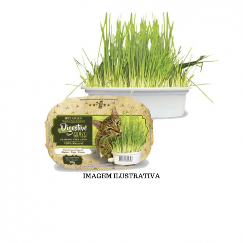 SEMENTES DIGESTIVE GRASS GRAMINHA PARA GATOS - 50G