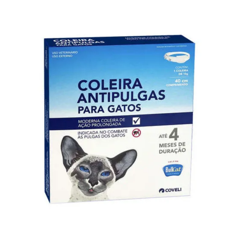 BULLDOG COLEIRA GATO