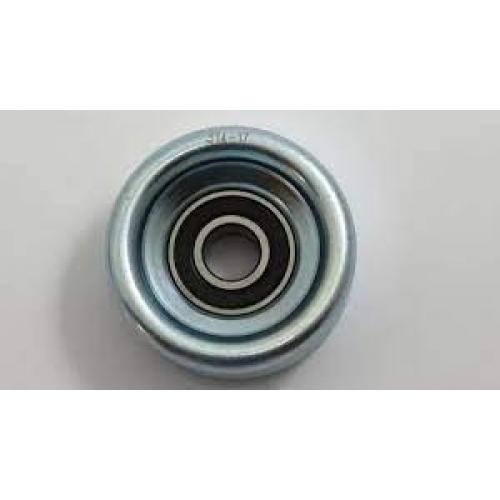 POLIA ALTERNADOR NYTRON VW/GM