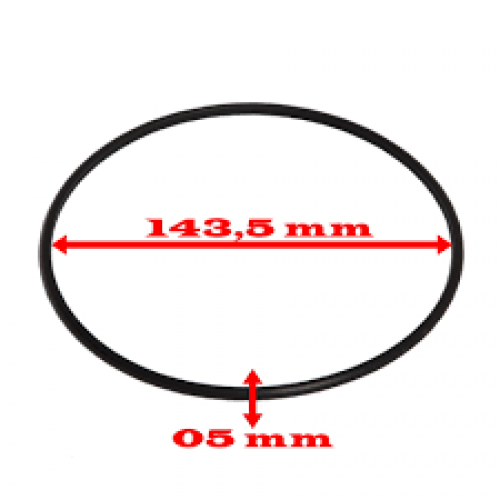 GUARNIÇAO DAA FLANGE DE COMB DS PEUGEOT 206/207