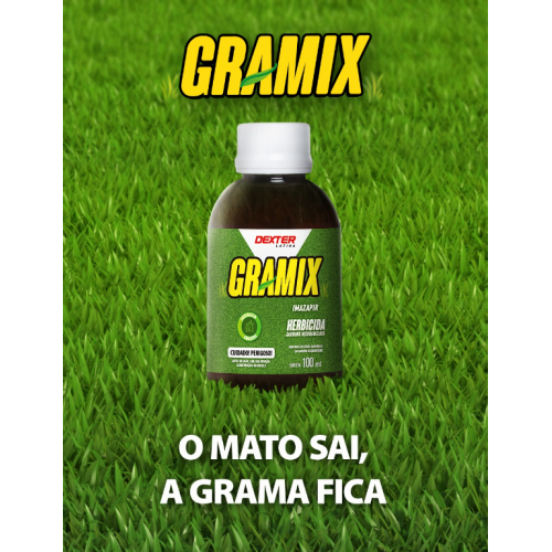 GRAMIX IMAZAPIR 100ml