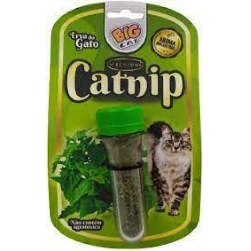 CATNIP ERVA PARA GATOS