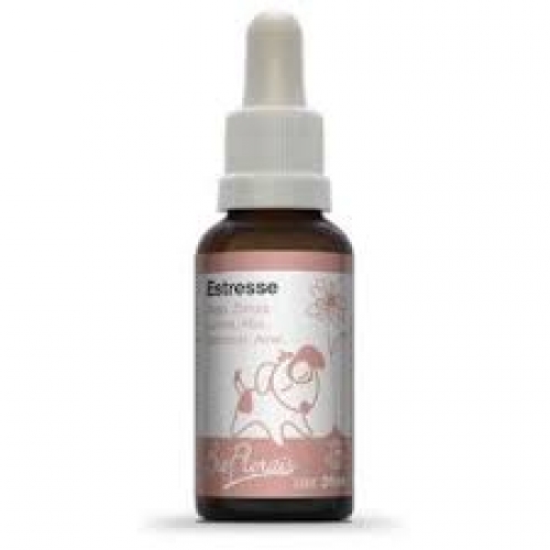 BIO FLORAIS PETS ESTRESSE