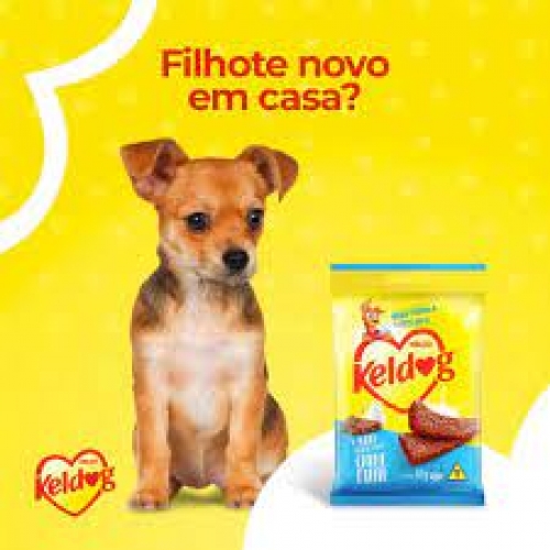 KELDOG BIFINHO PARA FILHOTES LEITE E CARNE 60G