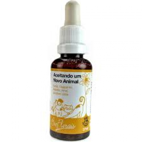 BIO FLORAIS PETS ACEITANDO UM NOVO ANIMAL