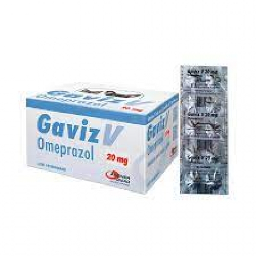 GAVIZ 20mg COMPRIMIDO