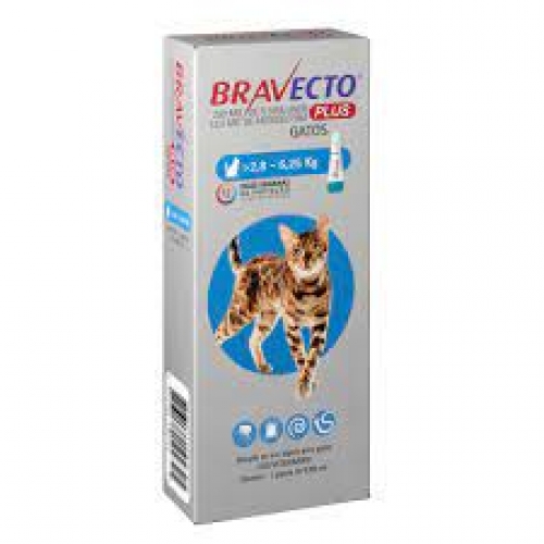 BRAVECTO PLUS GATOS 2,8-6,25kg