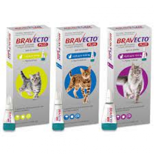 BRAVECTO PLUS 1,2 2,8KG