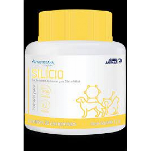 SILICIO