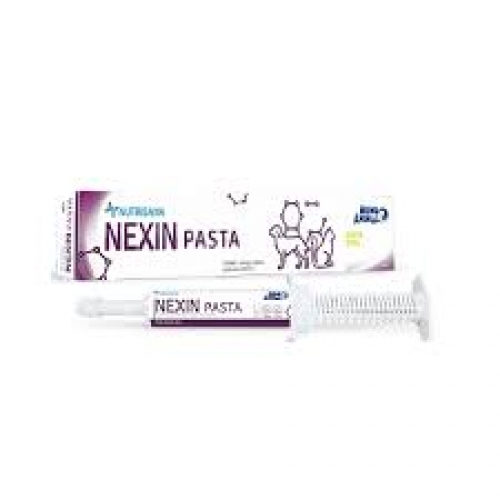 NEXIN PASTA