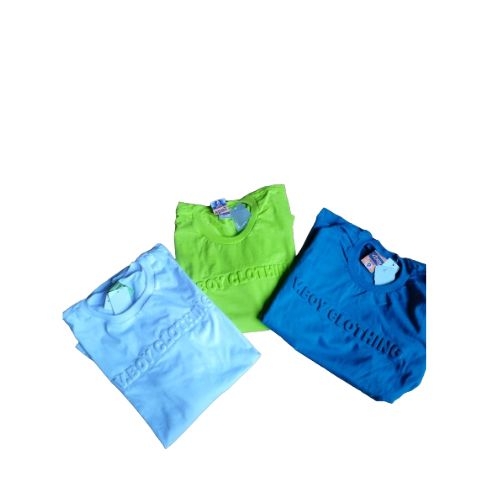 CAMISETAS INFANTIL /JUVENIL  MASCULINO   MANG LONGA