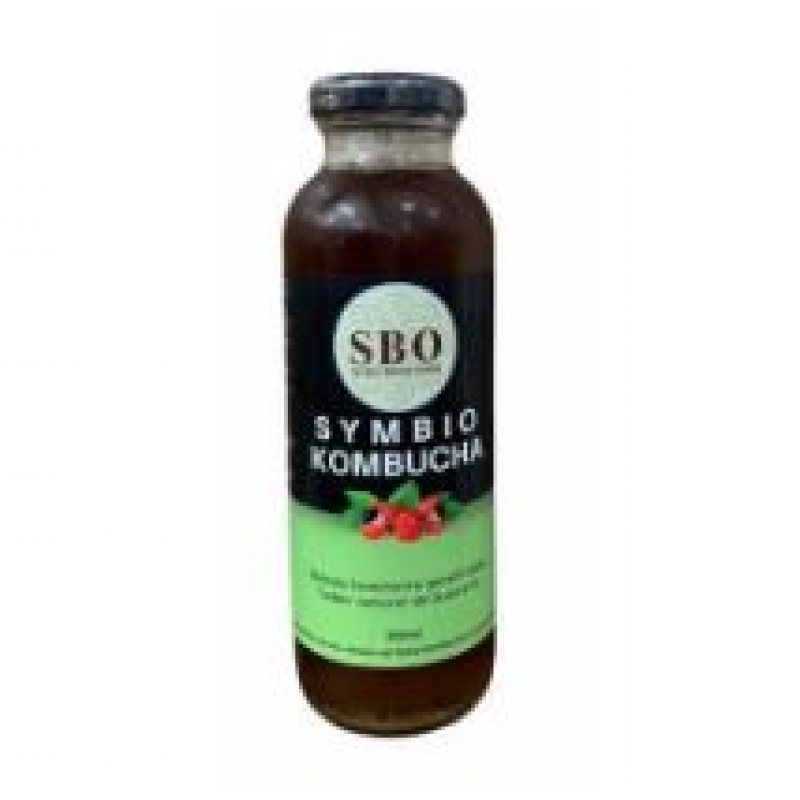 SBO KOMBUCHA GUARANÁ 300 ML - SBO