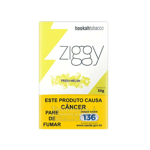 ZIGGY FRESH MELON 50g